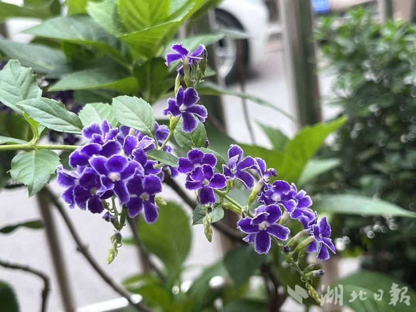 能赢钱提现的游戏